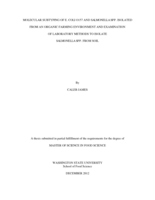 Molecular subtyping of E. coli O157 and Salmonella spp. isolated from an organic farming environment and examination of laboratory methods to isolate Salmonella spp. from soil
