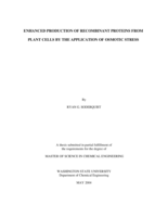 Enhanced production of recombinant proteins from plant cells by the application of osmotic stress