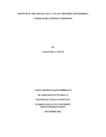 Growth of the single-cell C₄ plant, Bienertia sinuspersici, under light-limited conditions