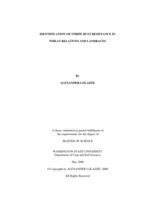 Identification of stripe rust resistance in wheat relatives and landraces