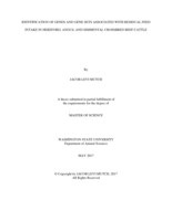 Identification of genes and gene sets associated with residual feed intake in Hereford, Angus, and Simmental crossbred beef cattle