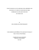 Utility of Brassica juncea seed meal soil amendment and Pseudomonas fluorescens SS101 for long-term suppression of apple root infection by Pythium spp.