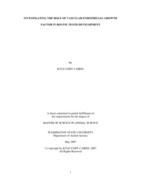 Investigating the role of vascular endothelial growth factor in bovine testis development