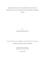 Adrenergic regulation of adipose tissue lipolysis in transition dairy cattle based on genetic merit and energy intake