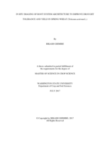In situ imaging of root system architecture to improve drought tolerance and yield in spring wheat (Triticum aestivum L.)
