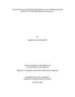 The effects of suppressive bacteria on the germination and growth of cheatgrass (Bromus tectorum L.)