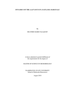 Dynamics of the aaap locus in Anaplasma marginale