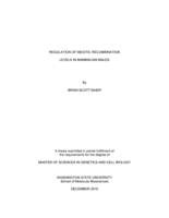 Regulation of meiotic recombination levels in mammalian males
