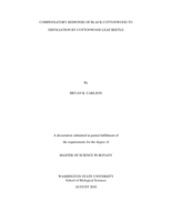 Compensatory response of black cottonwood to defoliation by cottonwood leaf beetle