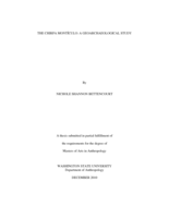 The Chirpa Montículo: a geoarchaeological study