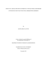 Effects of a broad-spectrum antibiotic on the bacterial microbiome of the Rocky Mountain Wood Tick, Dermacentor andersoni