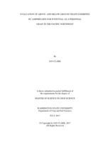 Evaluation of above- and below-ground traits exhibited by amphiploids for potential as a perennial grain in the Pacific Northwest