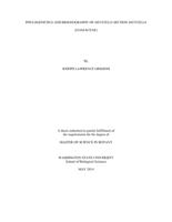 Phylogenetics and biogeography of Mentzelia section Mentzelia (Loasaceae)
