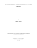 Flag flower morphology and phylogeny of Hydrangeaceae tribe Hydrangeeae
