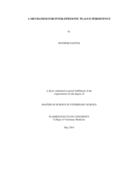 A mechanism for inter-epizootic plague persistence