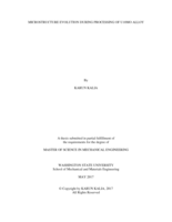 Microstructure evolution during processing of U10Mo alloy