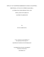 Efficacy of Nanophyes marmoratus Goeze (Coleoptera: brentidae) attack on Lythrum salicaria L. (Lythraceae) seed production and population dynamics in Eastern Washington