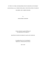 In vitro cultures and regeneration of Bienertia sinuspersici (Chenopodiaceae) under increasing concentrations of sodium chloride and carbon dioxide