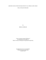 Identification of pruning branches in tall spindle apple trees for automated pruning