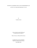 The effect of modified ADP-glucose pyrophosphorylase activity on starch metabolism In planta