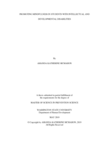 Promoting mindfulness in students with intellectual and developmental disabilities