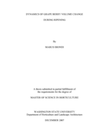 Dynamics of grape berry volume change during ripening