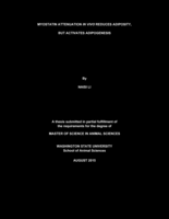 Myostatin attenuation In vivo reduces adiposity, but activates adipogenesis