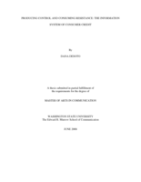 Producing control and consuming resistance: the information system of consumer credit