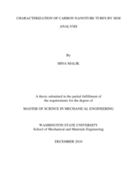 Characterization of carbon nanotube turfs by SEM analysis