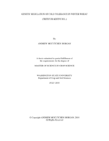 Genetic regulation of cold tolerance in winter wheat (Triticum aestivum L.)