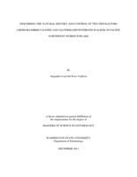 Describing the natural history and control of two defoliators (Orthosia hibisci Guen e and Gluphisia septentrionis Walker) in Pacific Northwest hybrid poplars