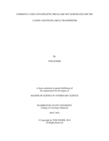 Commonly used anti-epileptic drugs are not substrates for the canine and feline ABCG2 transporter