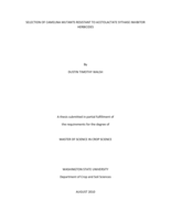 Selection of Camelina mutants resistant to acetolactate sythase inhibitor herbicides