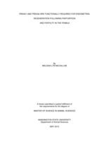 PRKAA1 and PRKAA2 are functionally required for endometrial regeneration following parturition and fertility in the female