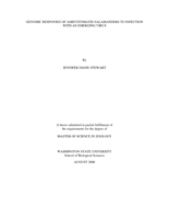 Genomic responses of ambystomatid salamanders to infection with an emerging virus