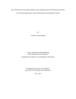Mutations in ovis aries TMEM154 are associated with reduced ovine lantivirus proviral concentration in one sheep flock
