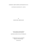 Screening carrot germplasm for resistance to Xanthomonas hortorum pv. Carotae
