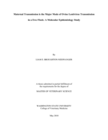 Maternal transmission is the major mode of ovine lentivirus transmission in a ewe flock: a molecular epidemiology study
