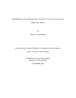Epidemiology of the resistance to Wheat streak mosaic virus in perennial wheat