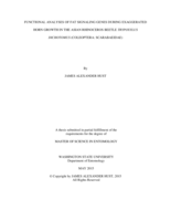 Functional analyses of fat signaling genes during exaggerated horn growth in the Asian rhinoceros beetle Trypoxylus dichotomus (Coleoptera: scarabaeidae)