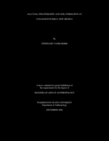 Alluvial stratigraphy and soil formation at Cox Ranch Pueblo, New Mexico