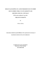 Molecular mapping of a gene for resistance to stripe rust in spring wheat cultivar IDO377s and identification of a new race of Puccinia striiformis f. sp. tritici virulent on IDO377s