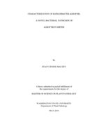 Characterization of Rathayibacter agropyri, a novel bacterial pathogen of Agropyron smithii