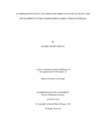 A comparative study of lower jaw form, function, ecology and development in the damselfishes (Family pomacentridae)