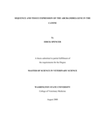 Sequence and tissue expression of the ABCB4 (MDR3) gene in the canine