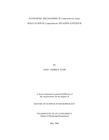 Pathogenic mechanisms of Campylobacter jejuni: Regulation of Campylobacter invasion antigen B