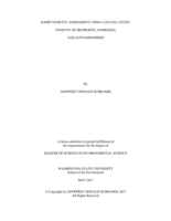 Rapid toxicity assessment using Colpoda steinii: toxicity of ibuprofen, naproxen, and acetaminophen