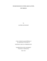 Zooarchaeology of the Largo Gap site, New Mexico