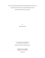 Effect of intralesional bone marrow derived mesenchymal stem cells on collagenase induced deep digital flexor tendonitis within the digital flexor tendon sheath of horses