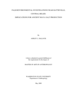 Paleoenvironmental investigations near Hattieville, central Belize: implications for ancient Maya salt production